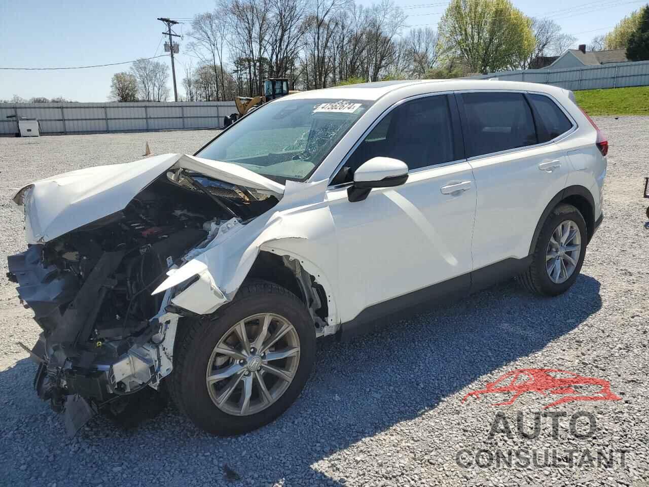 HONDA CRV 2024 - 2HKRS4H42RH415725