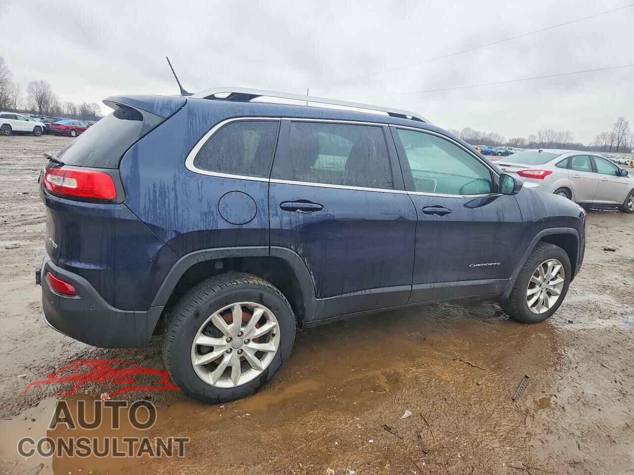 JEEP CHEROKEE 2014 - 1C4PJMDS2EW190984