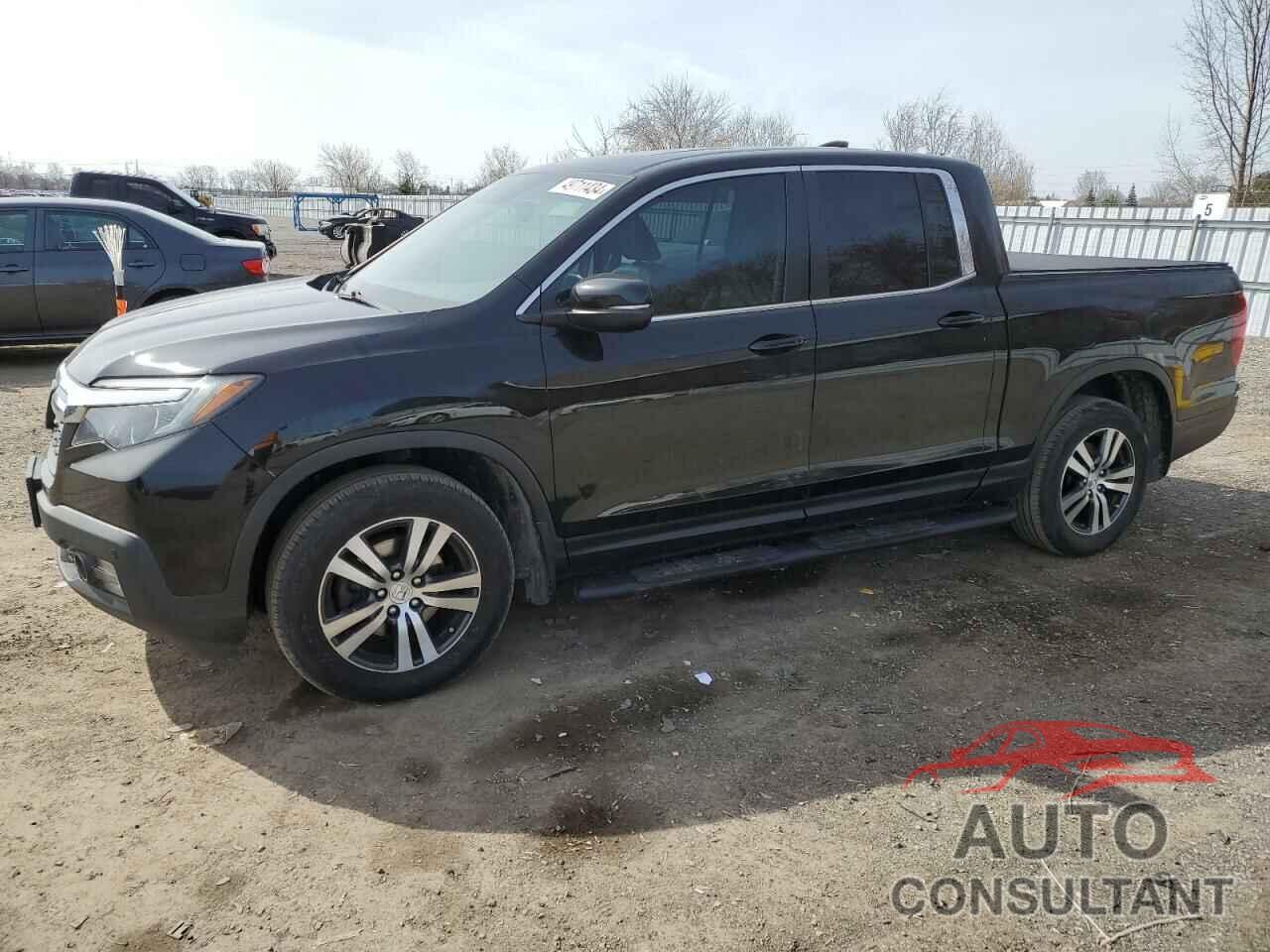 HONDA RIDGELINE 2019 - 5FPYK3F57KB500766