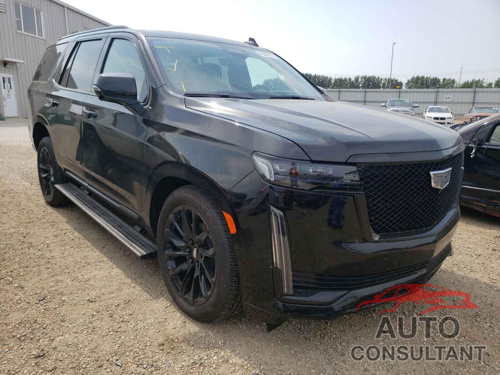 CADILLAC ESCALADE 2021 - 1GYS4GKL3MR273572