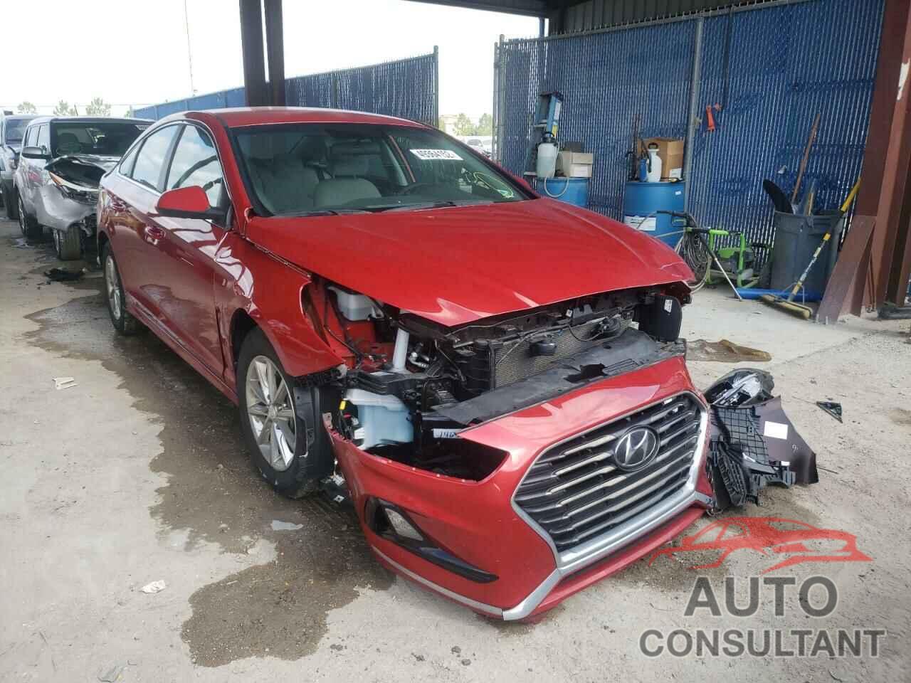 HYUNDAI SONATA 2019 - 5NPE24AF7KH820074