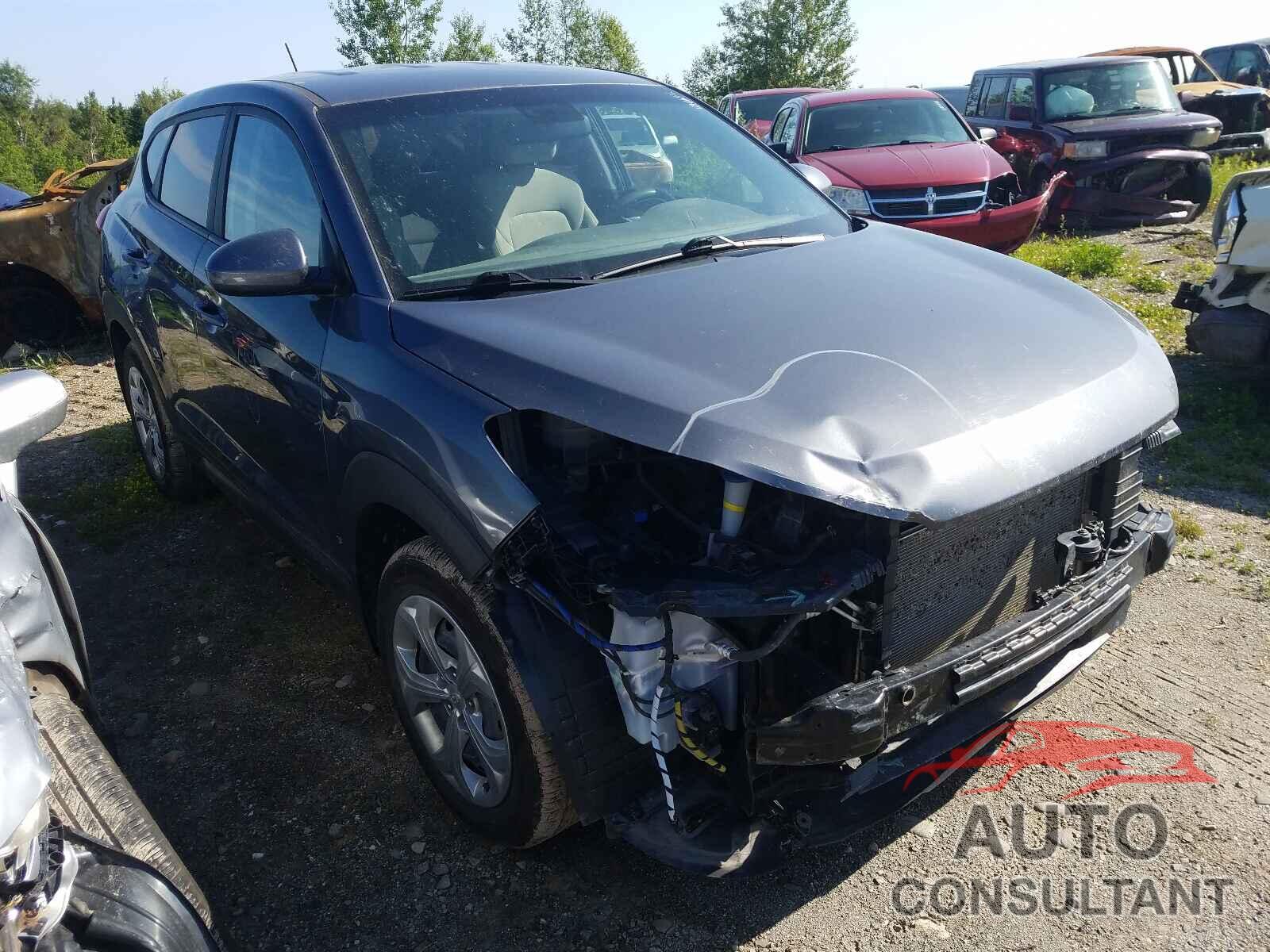 HYUNDAI TUCSON 2016 - KM8J23A49GU214226