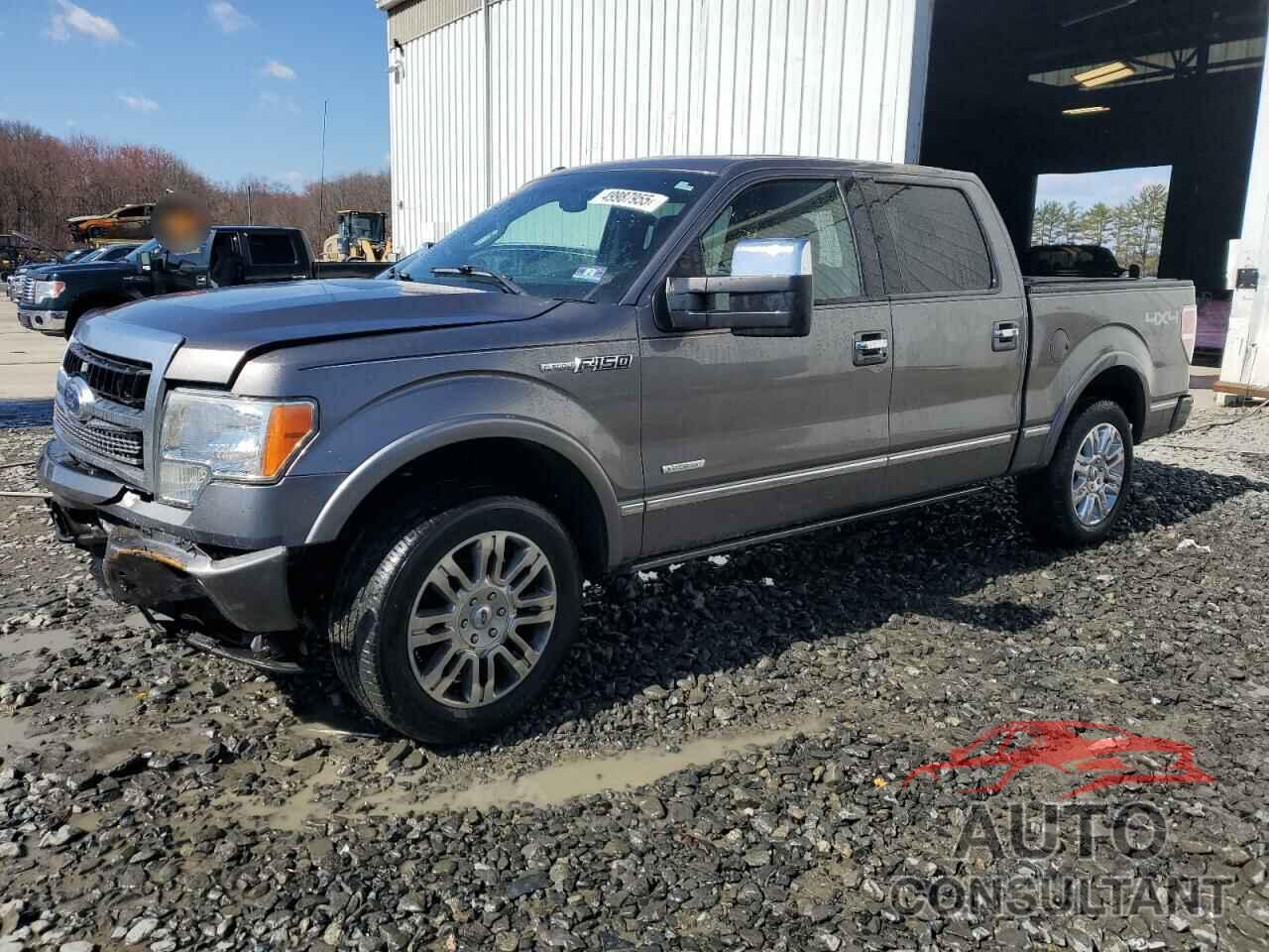 FORD F-150 2011 - 1FTFW1ET8BFD19146