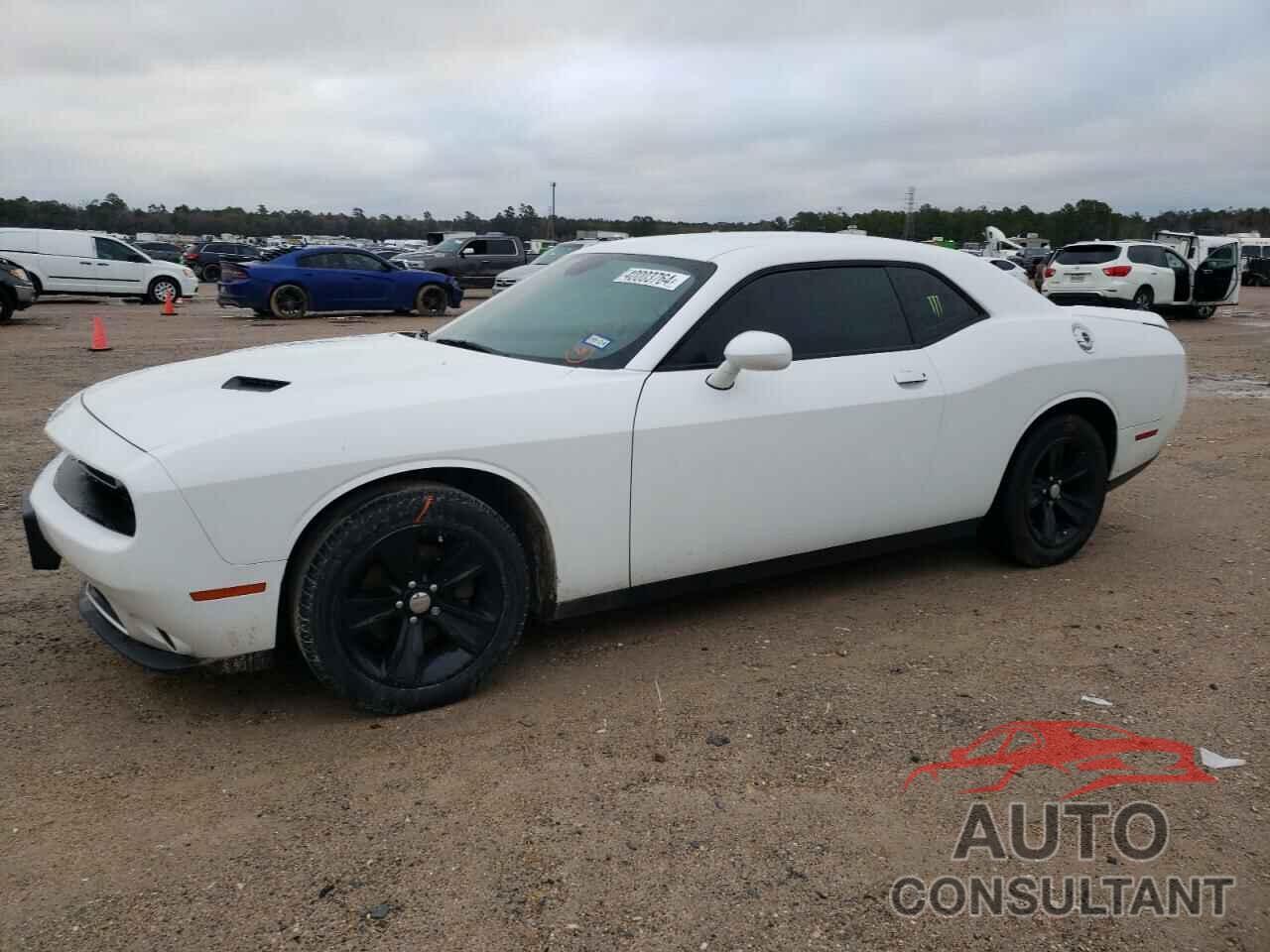 DODGE CHALLENGER 2019 - 2C3CDZAG7KH525240