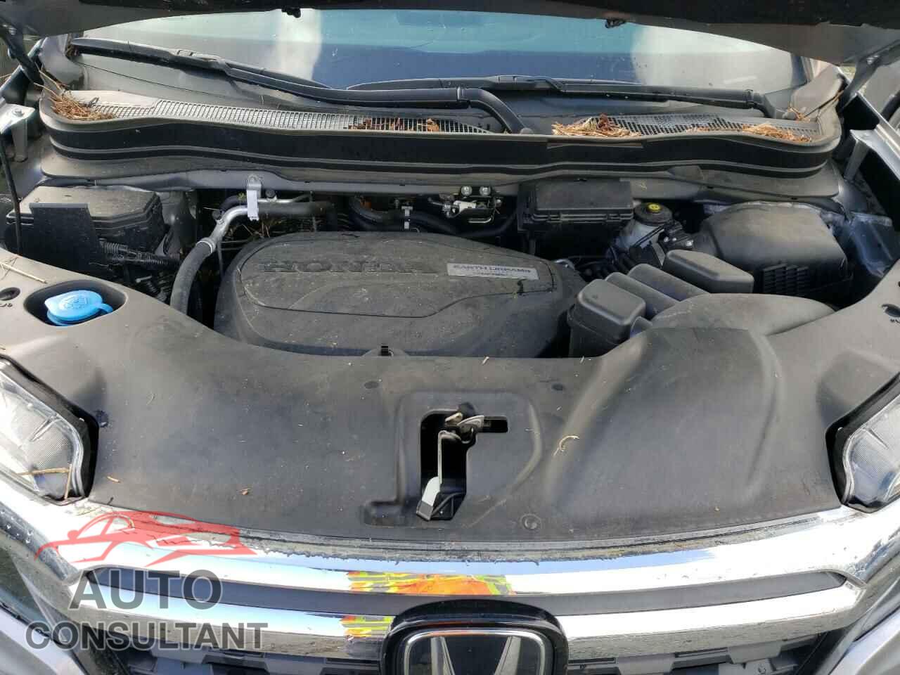 HONDA RIDGELINE 2019 - 5FPYK3F78KB018230