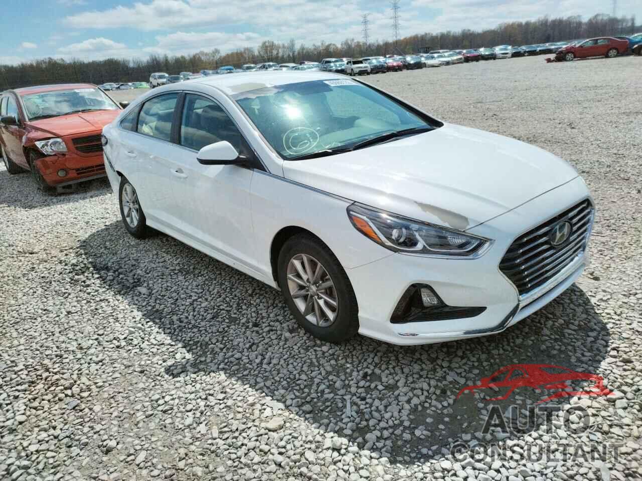 HYUNDAI SONATA 2019 - 5NPE24AF7KH789201