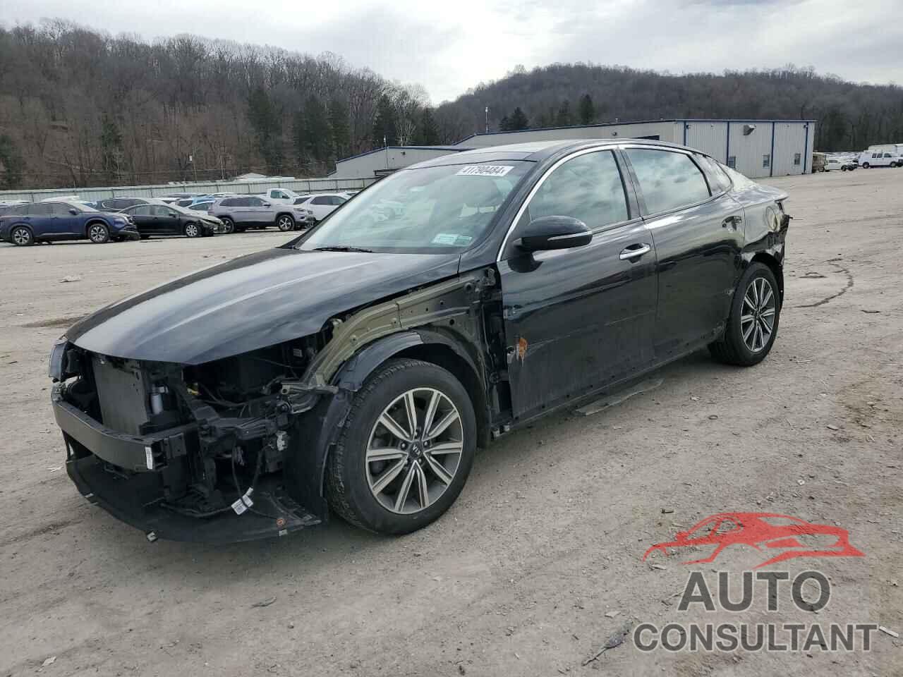 KIA OPTIMA 2019 - 5XXGT4L31KG311263
