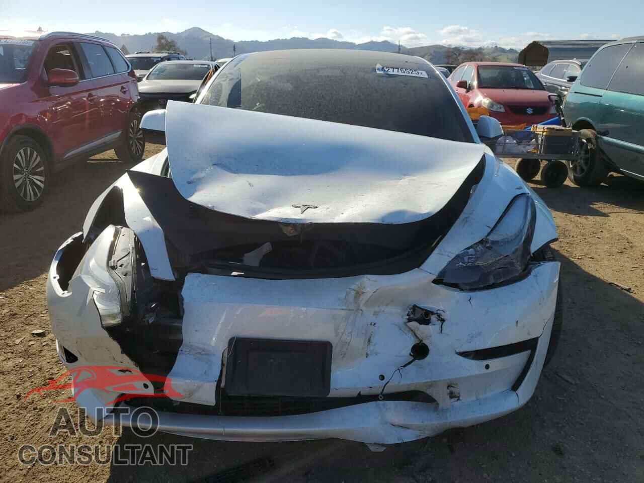 TESLA MODEL 3 2021 - 5YJ3E1EA0MF017765