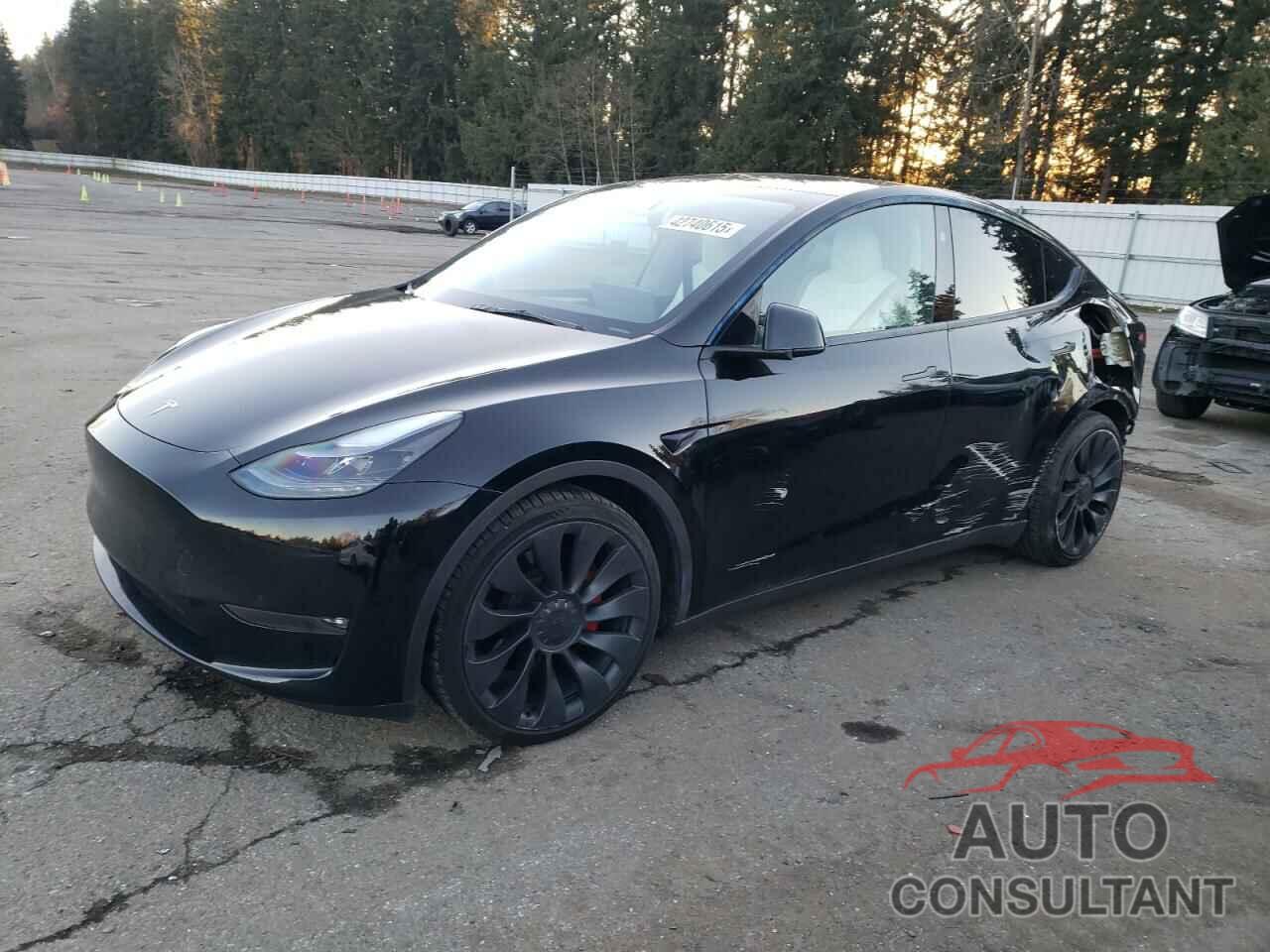 TESLA MODEL Y 2023 - 7SAYGDEF0PF811783