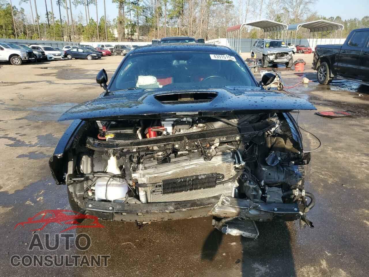 DODGE CHALLENGER 2016 - 2C3CDZC91GH314444