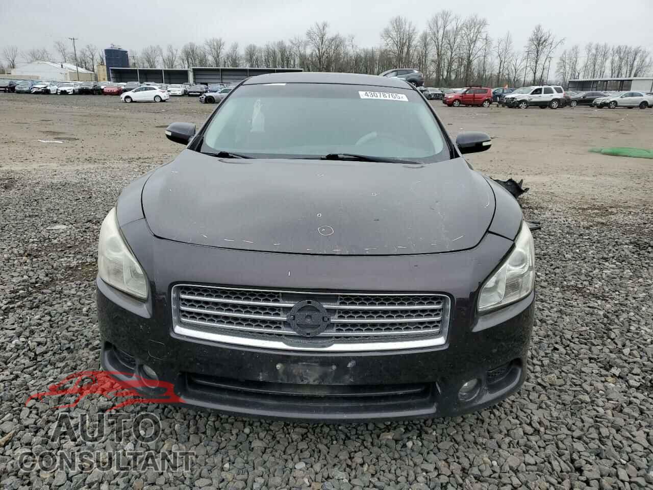 NISSAN MAXIMA 2010 - 1N4AA5AP4AC838208