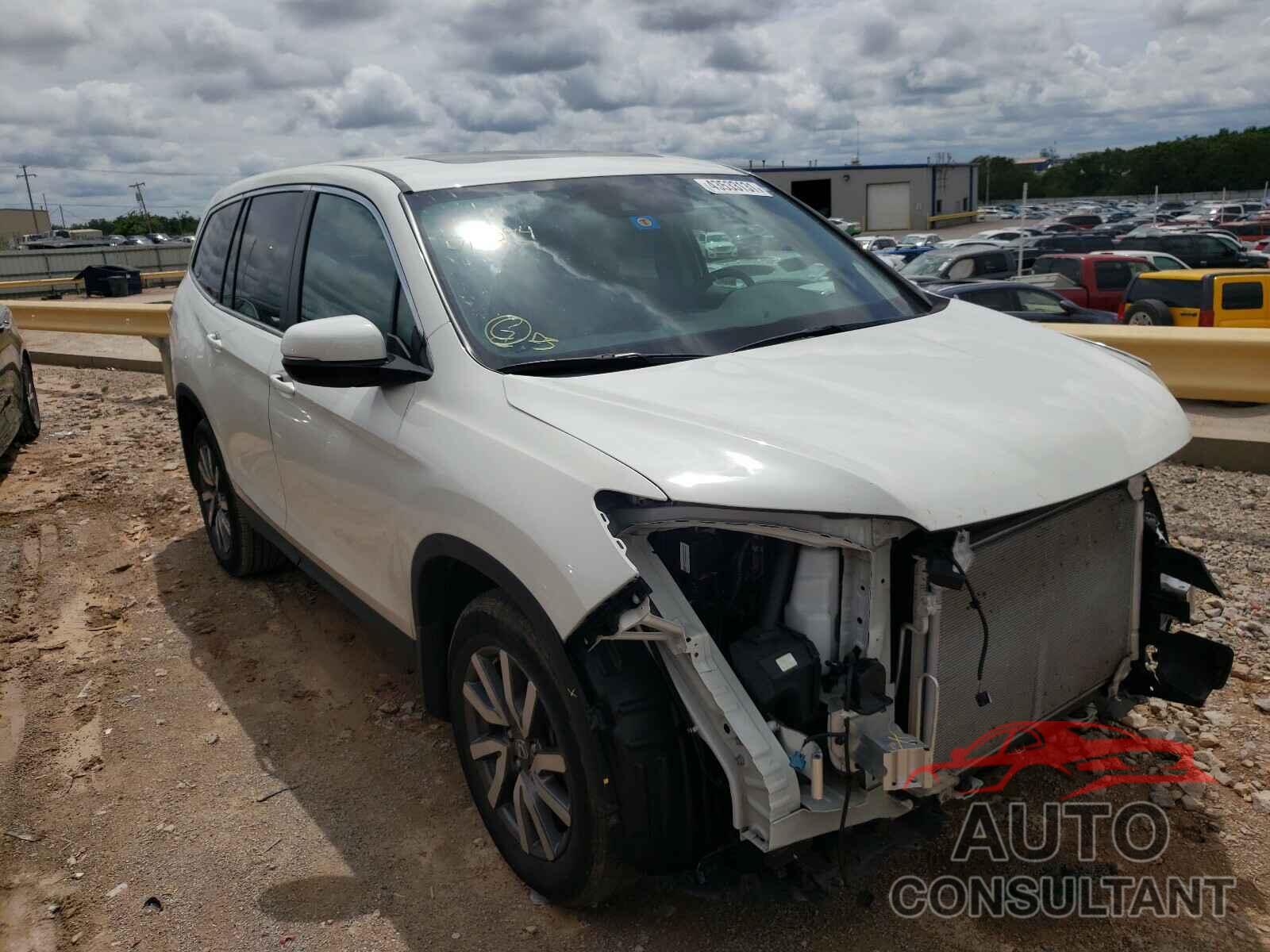 HONDA PILOT 2019 - 5FNYF5H59KB018094