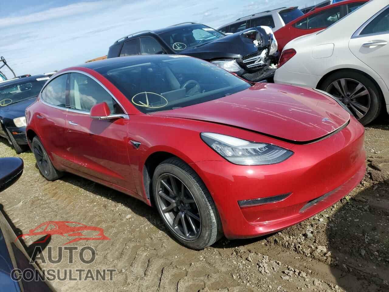 TESLA MODEL 3 2019 - 5YJ3E1EA2KF305624