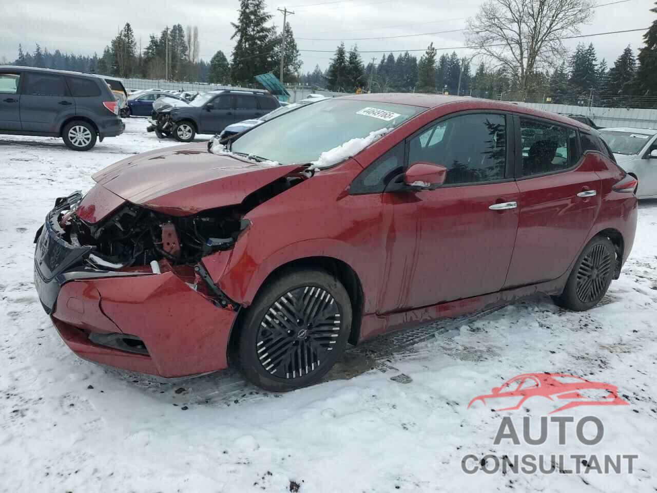 NISSAN LEAF 2024 - 1N4CZ1CV9RC553912
