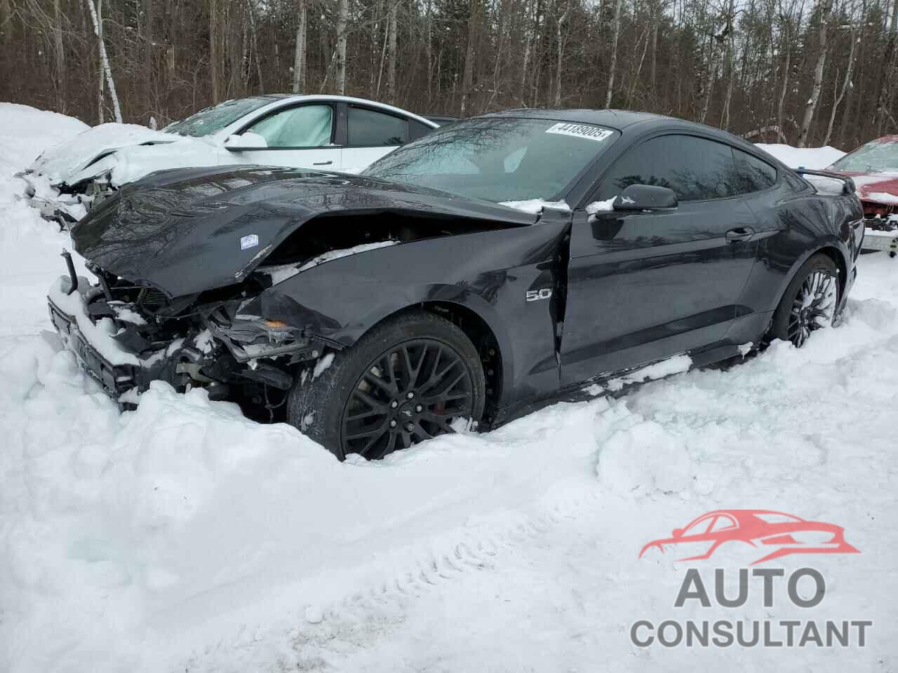 FORD MUSTANG 2023 - 1FA6P8CF4P5303404