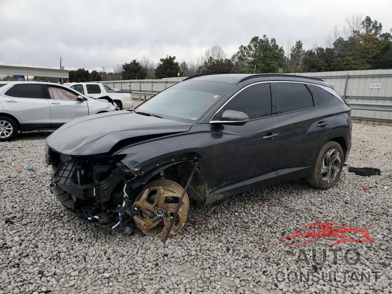 HYUNDAI TUCSON 2024 - 5NMJECDE6RH294532