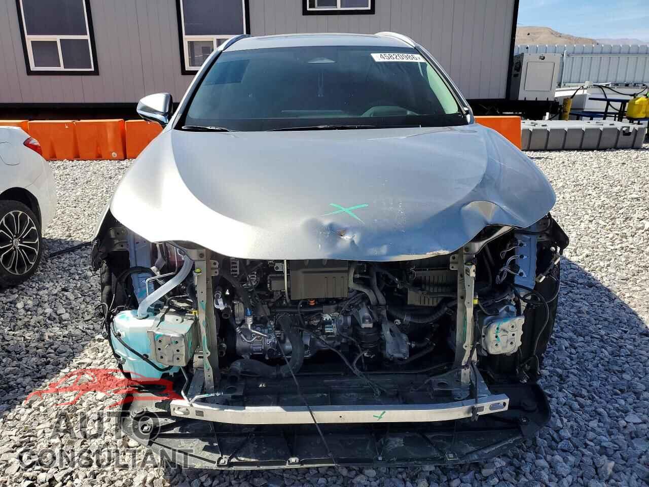 LEXUS UNKNOWN 2024 - 2T2GGCEZ7RC036043