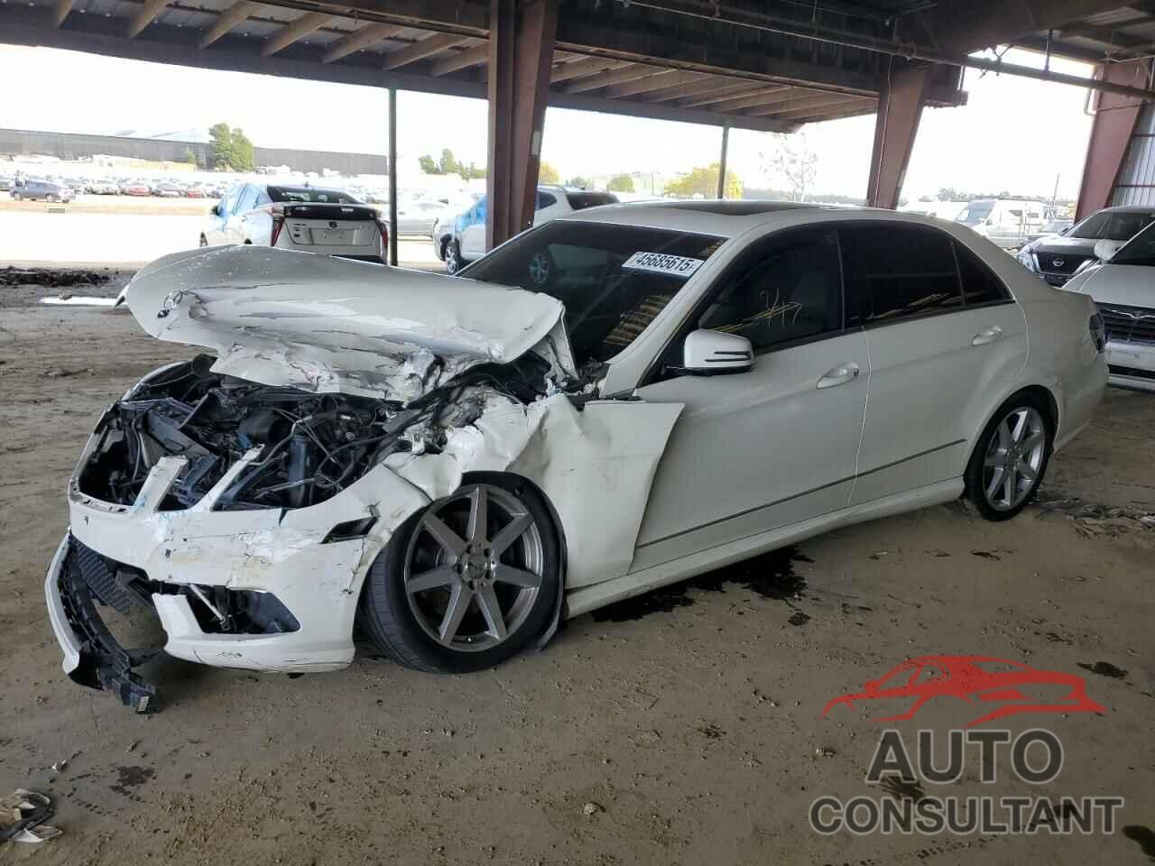 MERCEDES-BENZ E-CLASS 2011 - WDDHF5GB5BA312646
