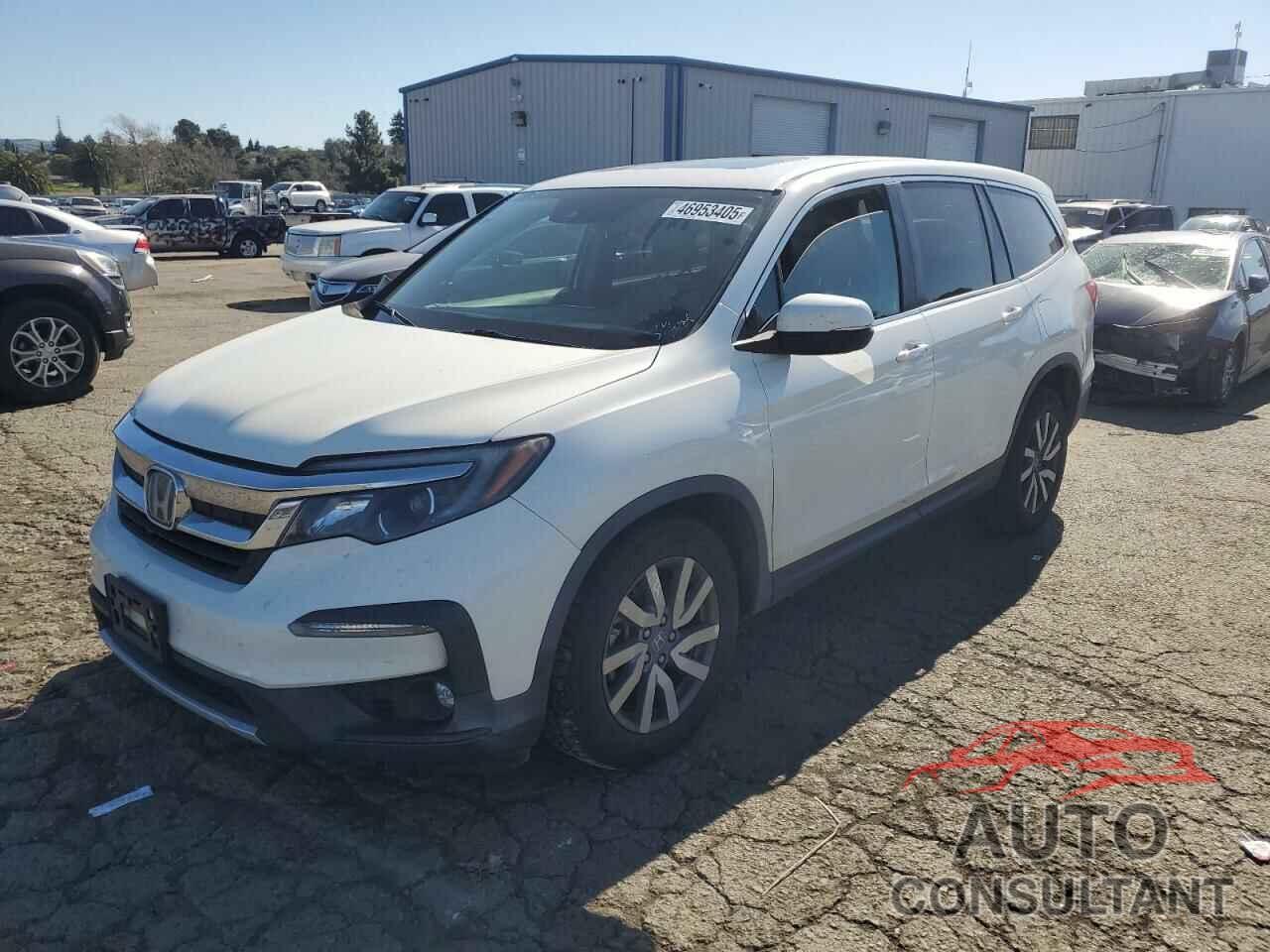 HONDA PILOT 2019 - 5FNYF6H51KB056361