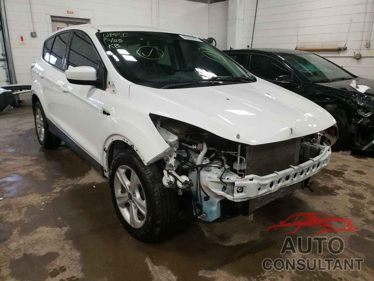 FORD ESCAPE 2016 - 1FMCU0GX5GUB16734