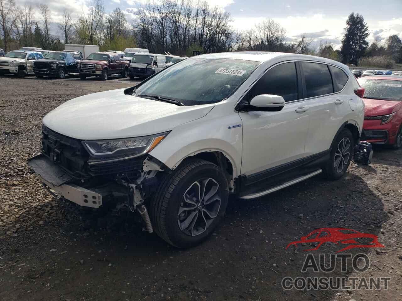 HONDA CRV 2020 - 7FART6H87LE019036