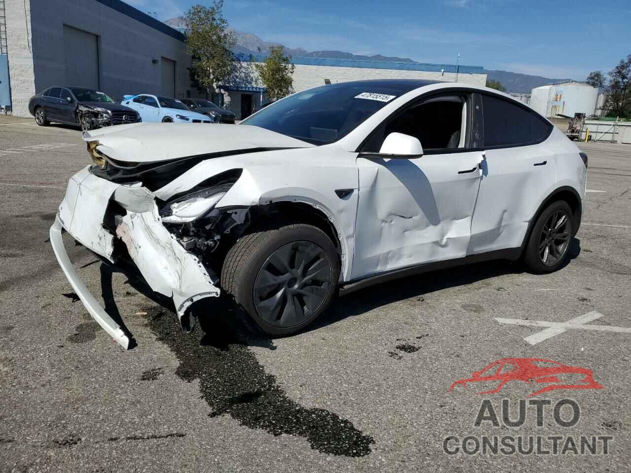 TESLA MODEL Y 2024 - 7SAYGDED1RF115290
