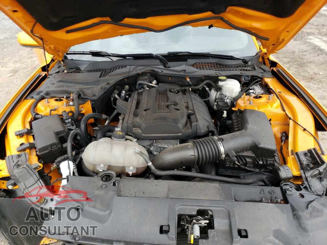 FORD MUSTANG 2019 - 1FA6P8TH4K5166992