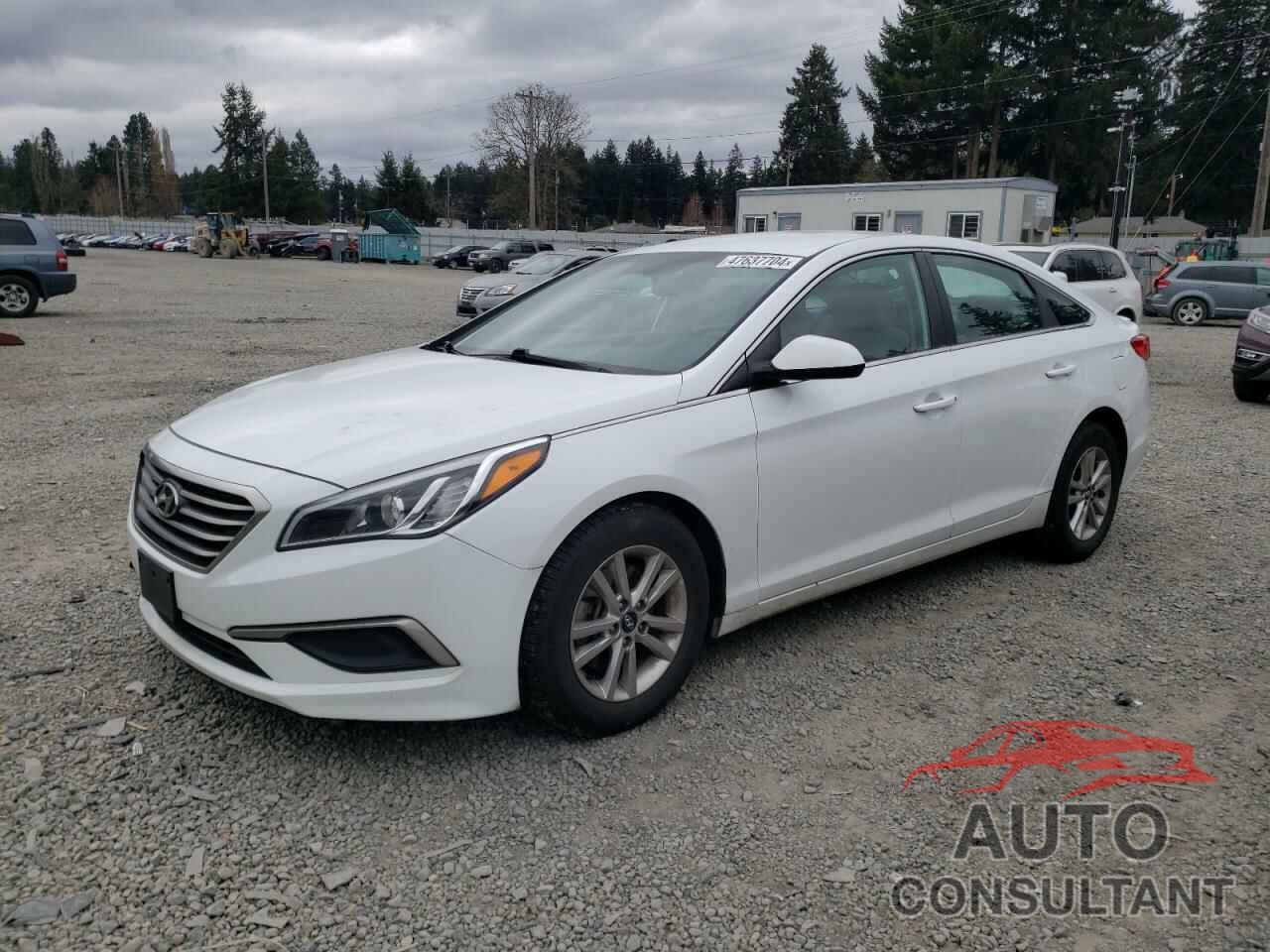 HYUNDAI SONATA 2016 - 5NPE24AF3GH360144