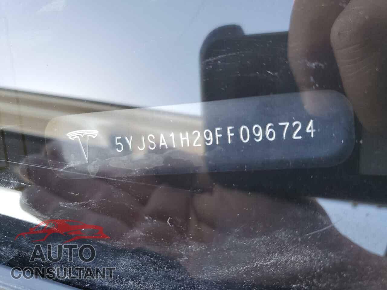 TESLA MODEL S 2015 - 5YJSA1H29FF096724