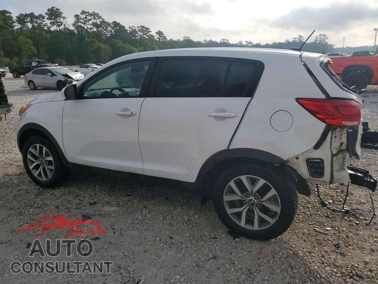 KIA SPORTAGE 2014 - KNDPB3AC4E7664352