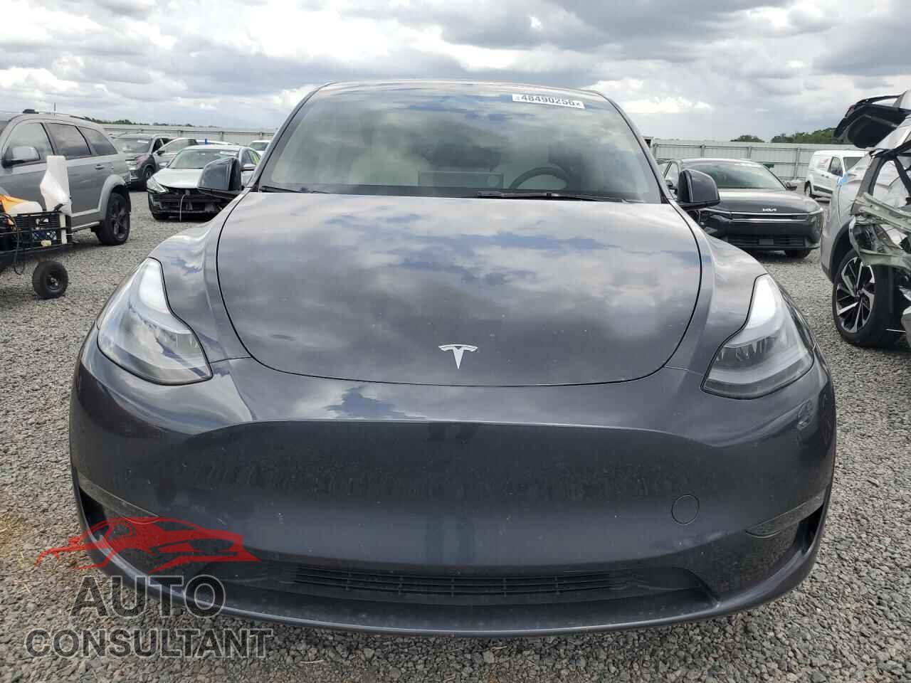 TESLA MODEL Y 2025 - 7SAYGDED5SA379213