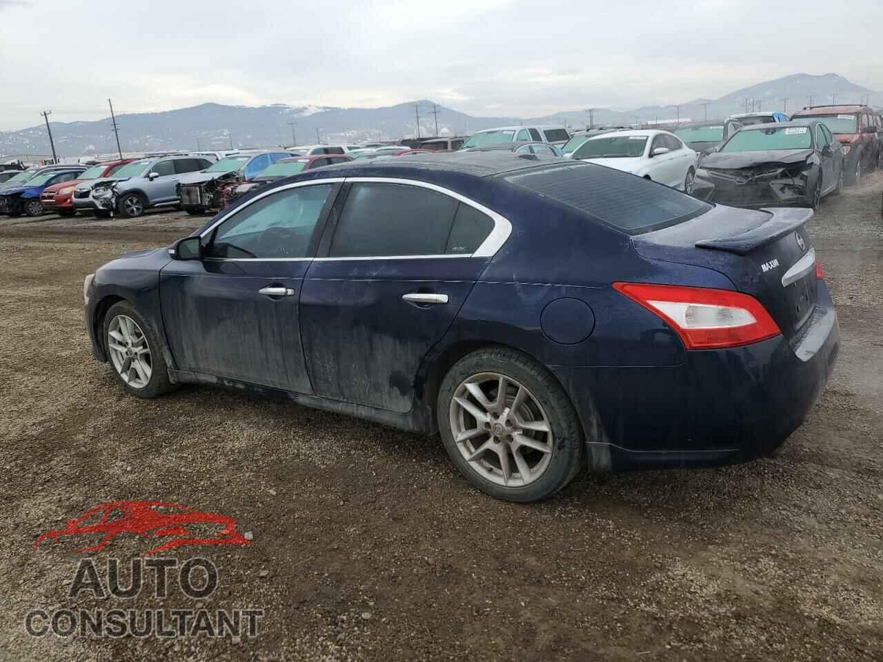 NISSAN MAXIMA 2009 - 1N4AA51E39C825427