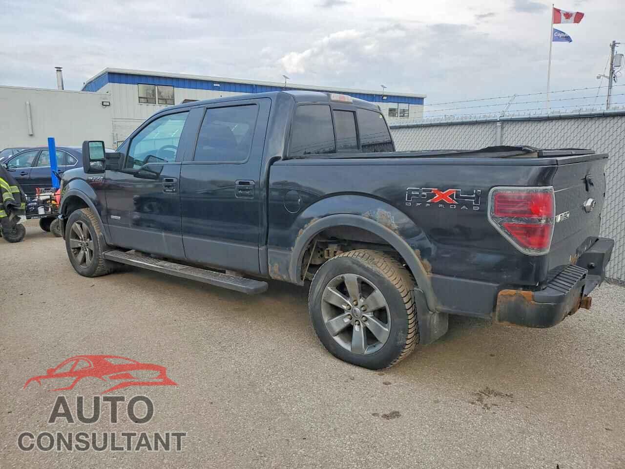 FORD F150 2011 - 1FTFW1ET1BFA52786