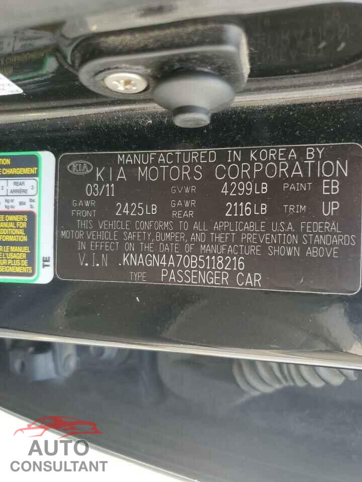 KIA OPTIMA 2011 - KNAGN4A70B5118216