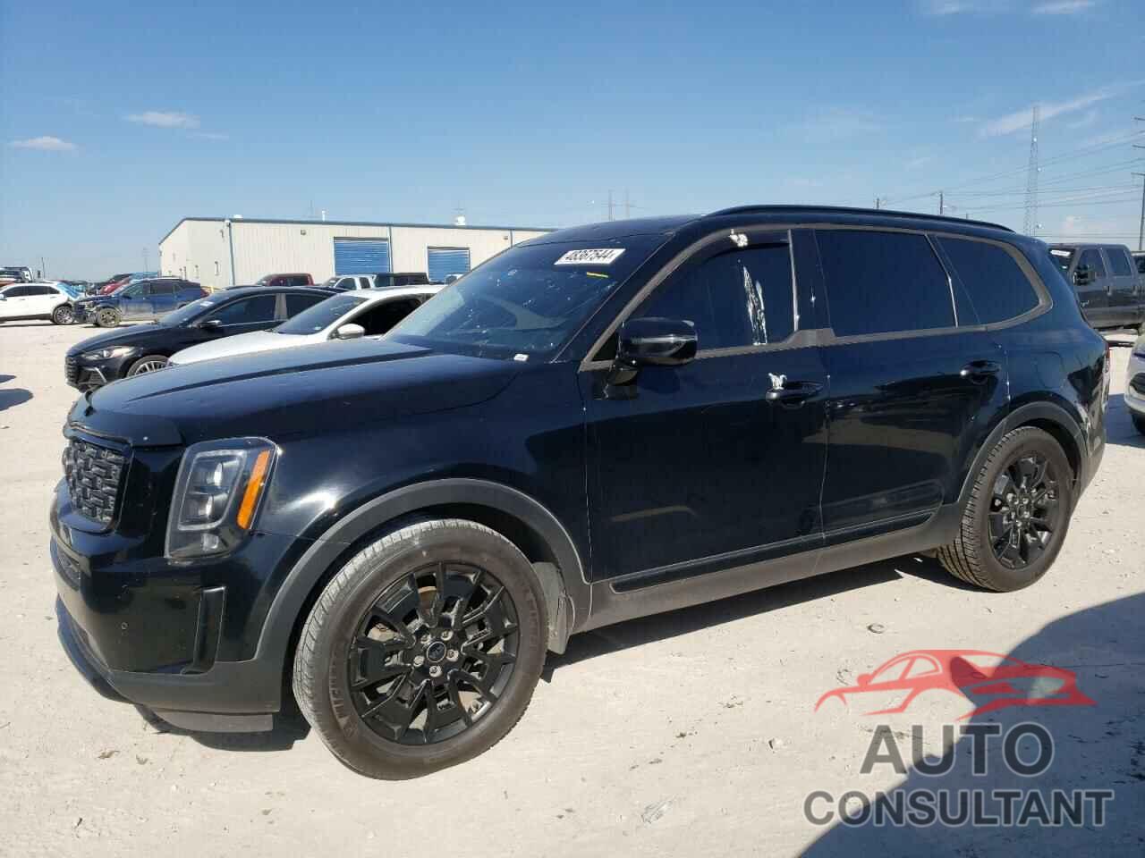 KIA TELLURIDE 2021 - 5XYP5DHC5MG151759