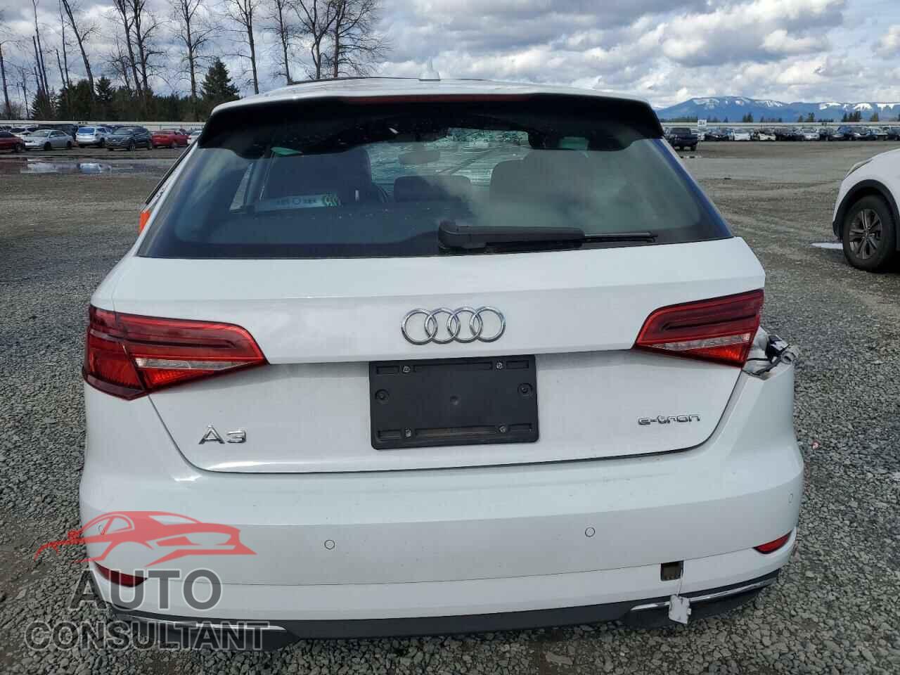 AUDI A3 2017 - WAUTPBFF9HA059485