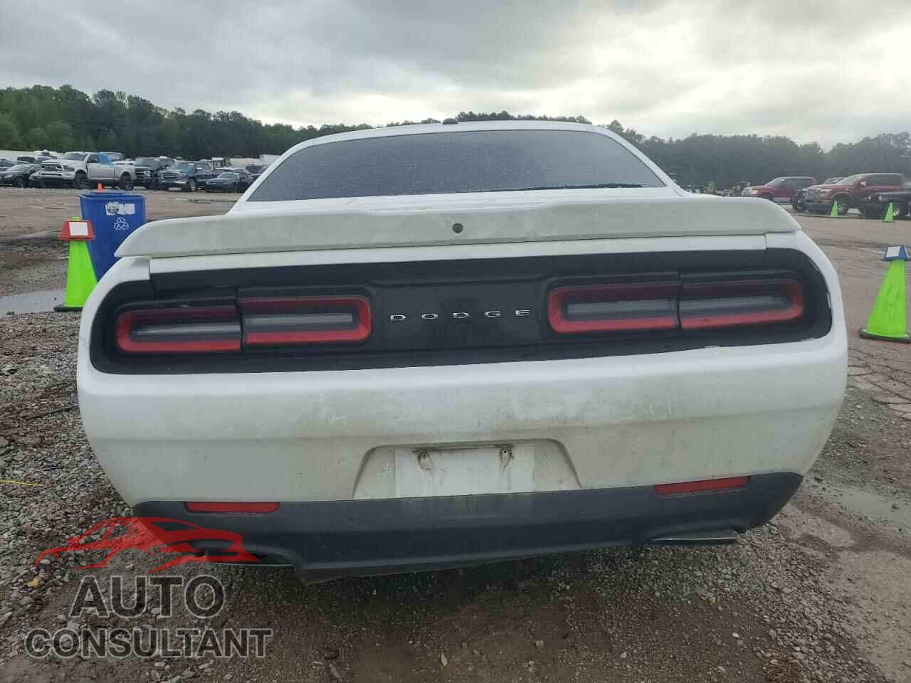 DODGE CHALLENGER 2019 - 2C3CDZBT3KH641904