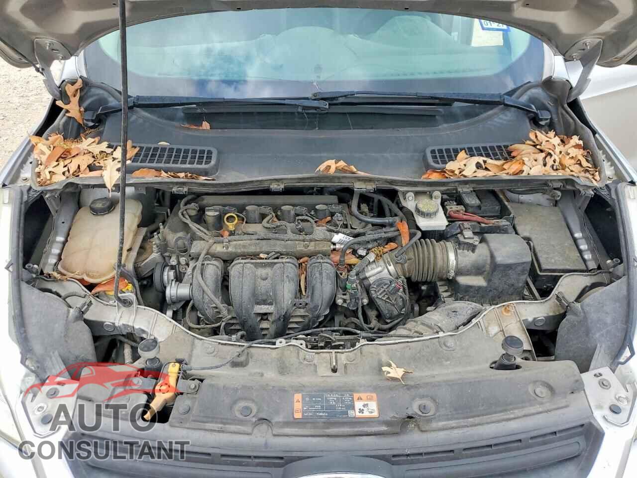 FORD ESCAPE 2016 - 1FMCU0F76GUC57278