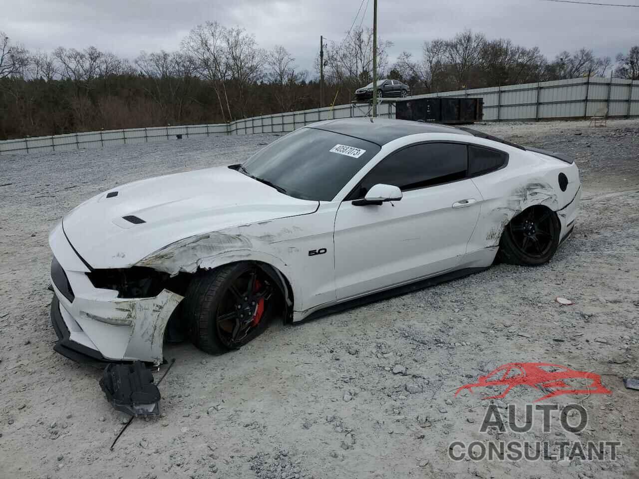 FORD MUSTANG 2019 - 1FA6P8CFXK5119495