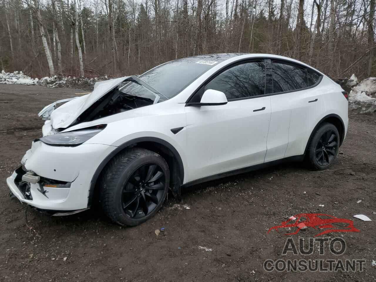 TESLA MODEL Y 2022 - 7SAYGAEE3NF531830