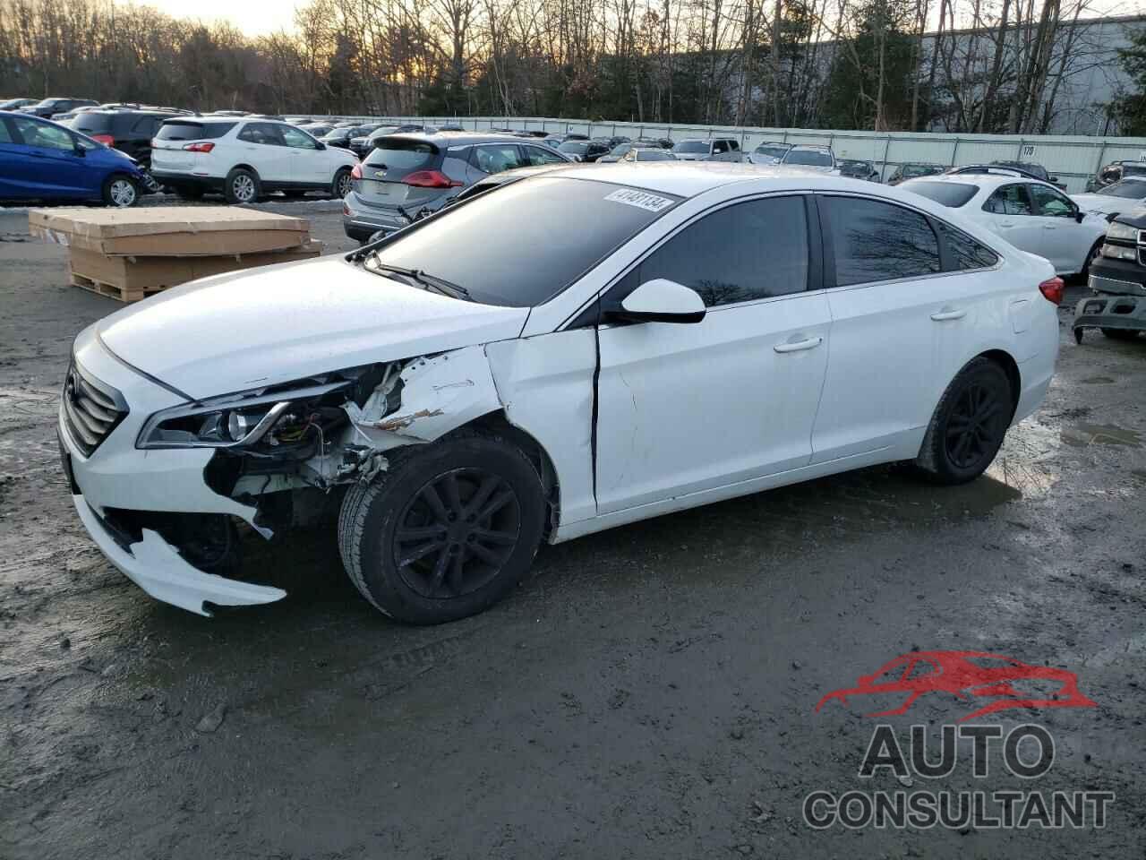HYUNDAI SONATA 2017 - 5NPE24AF7HH548893