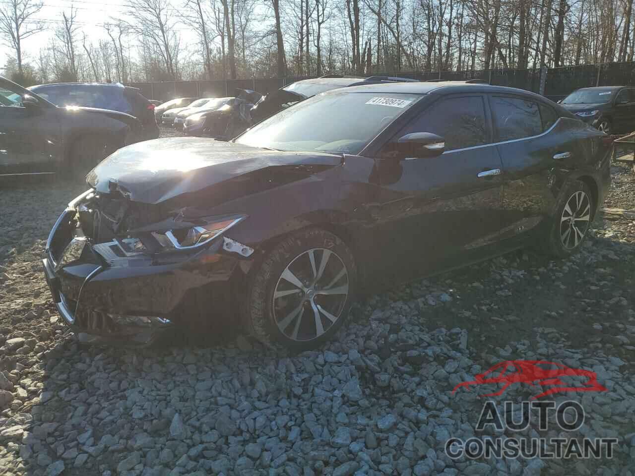 NISSAN MAXIMA 2017 - 1N4AA6AP7HC443178