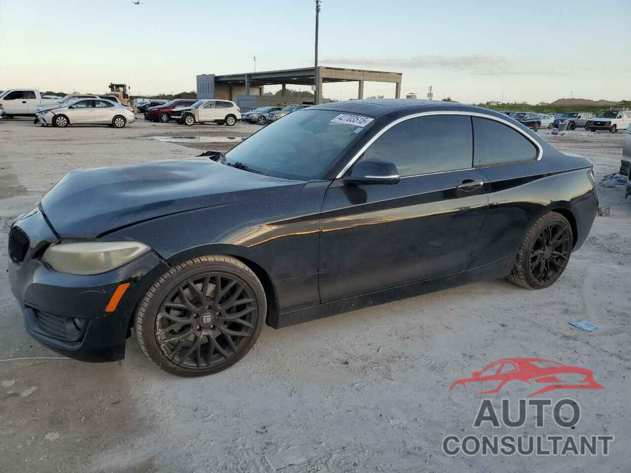 BMW 2 SERIES 2014 - WBA1F5C54EVV99497