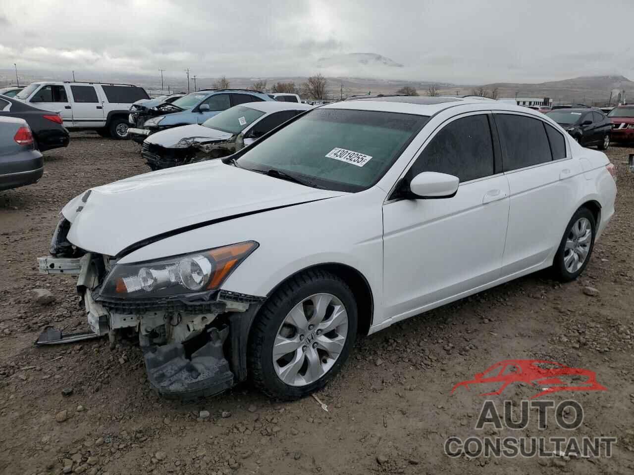 HONDA ACCORD 2010 - 1HGCP2F82AA148617