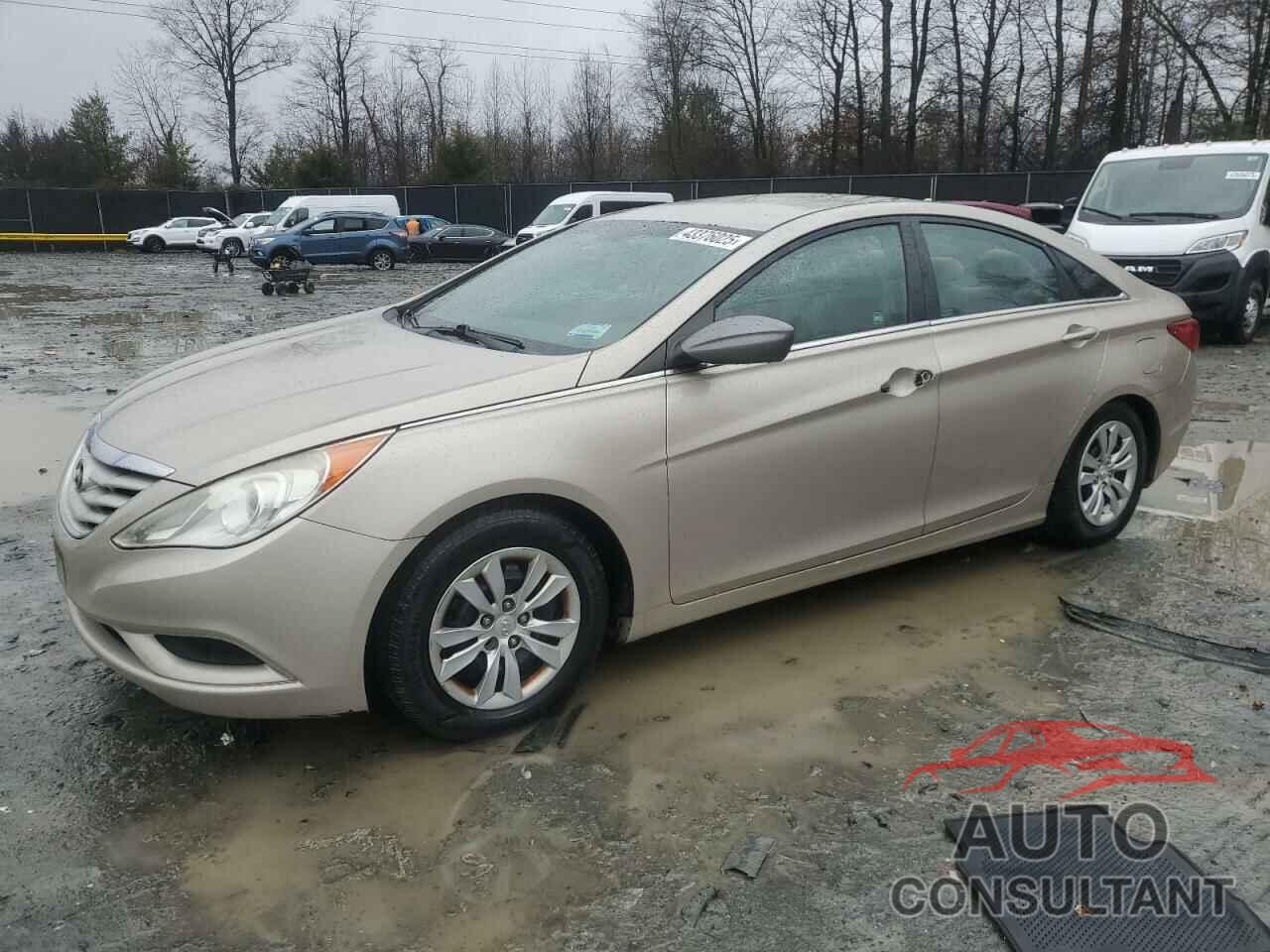 HYUNDAI SONATA 2011 - 5NPEB4AC8BH246459