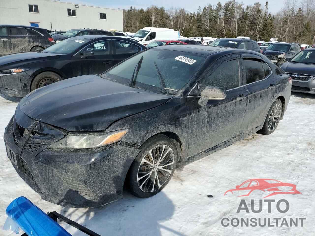 TOYOTA CAMRY 2019 - 4T1B11HK9KU679372