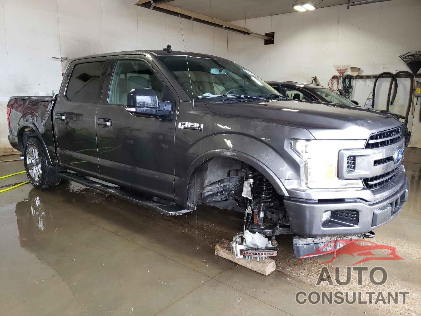 FORD F-150 2019 - 1FTEW1EP8KKF29770