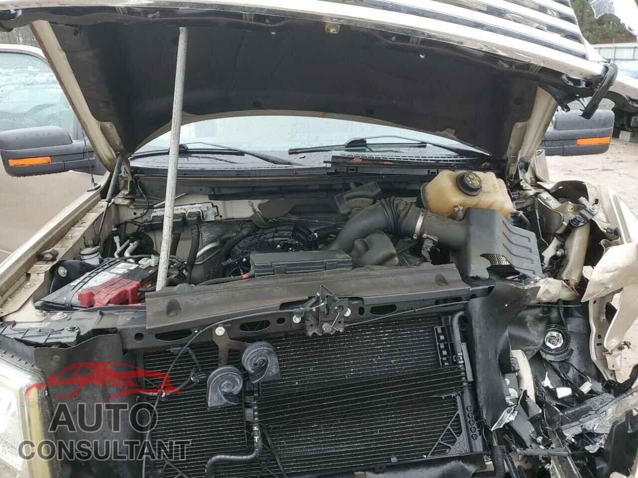 FORD F-150 2011 - 1FTEW1CM2BFD04195