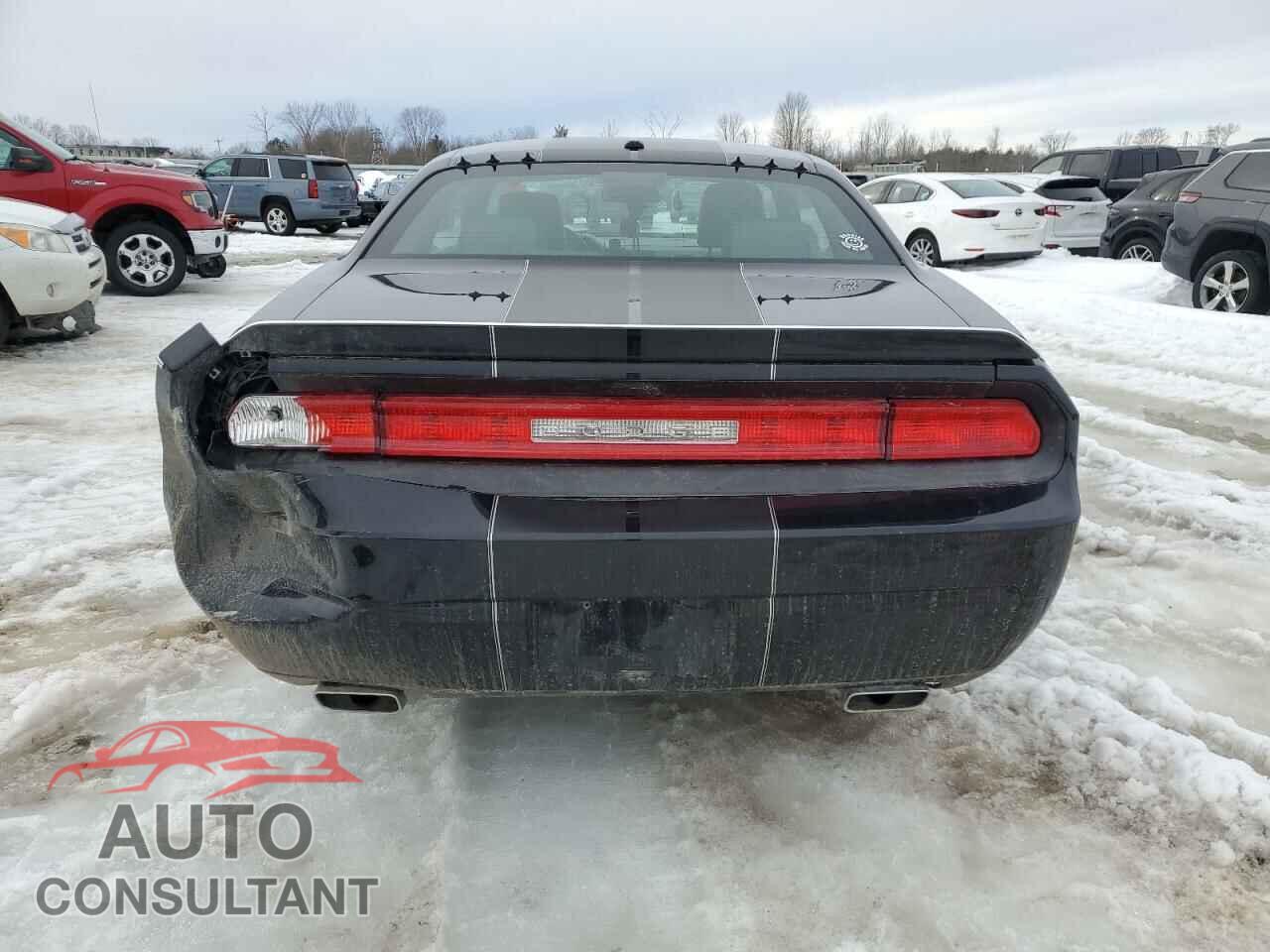 DODGE CHALLENGER 2012 - 2C3CDYAG6CH210053