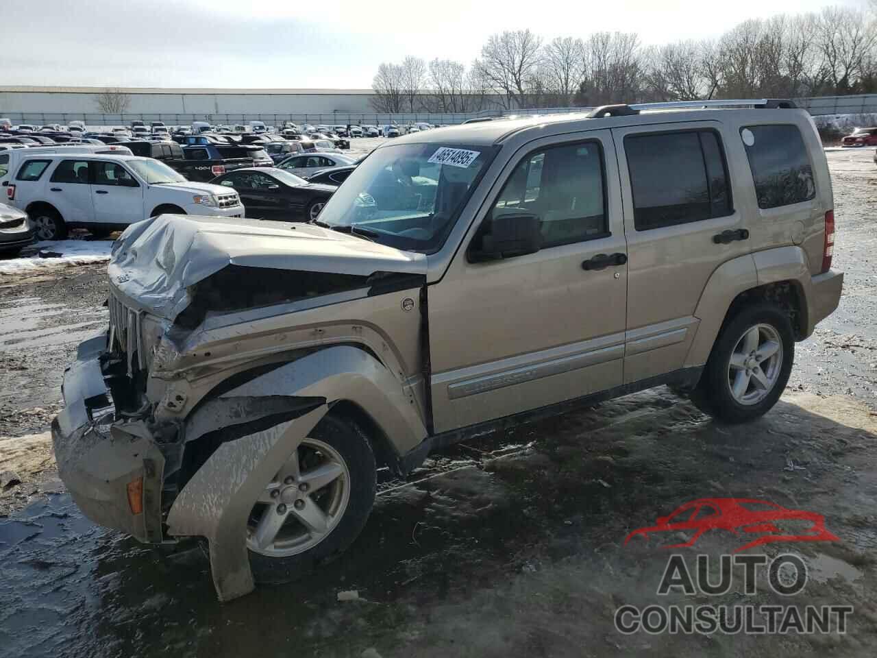 JEEP LIBERTY 2011 - 1J4PN5GK7BW525846